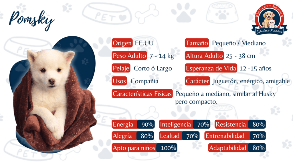 Ficha con todas las caracteristicas del Pomsky