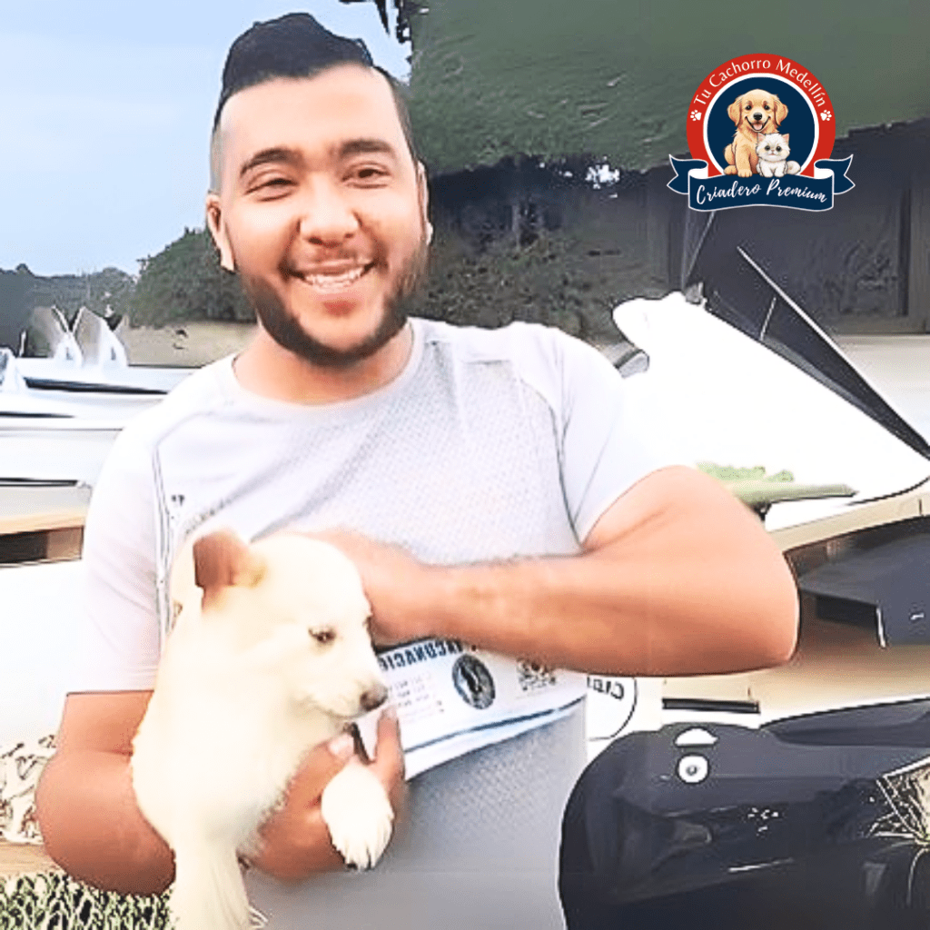 Venta Cachorros Medellín: Guía Completa para Elegir el Mejor Criadero Tu Cachorro Medellin