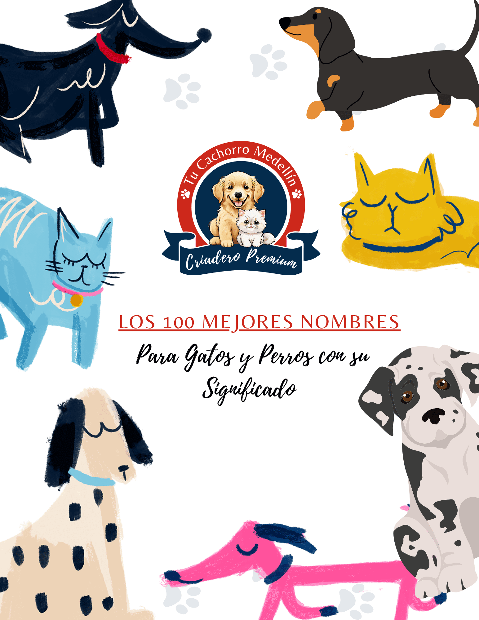 Guía de nombres para gatos y perros Tu Cachorro Medellín